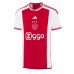 Ajax Steven Berghuis #23 Koszulka Podstawowych 2023-24 Krótki Rękaw